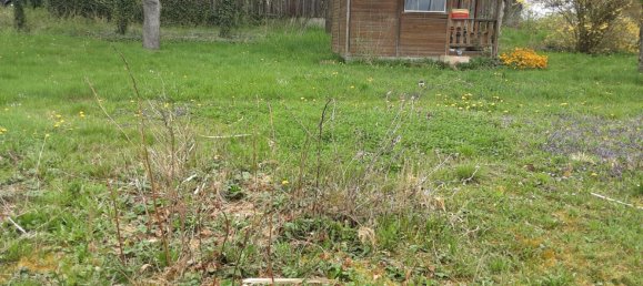 Land in Creglingen, Germany No. 244930 3