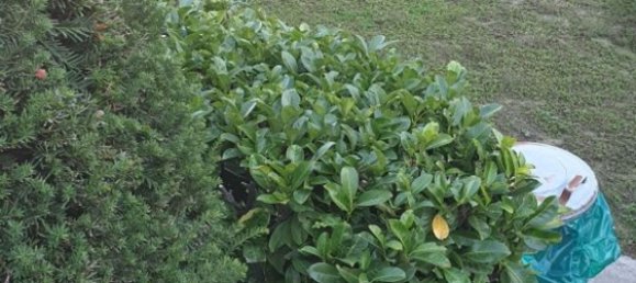 12-Zimmer Villa in Trecate, Italy, Nr. 176524 38