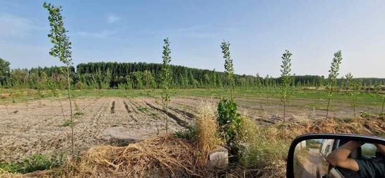 Земельный участок 18225м² в Санта-Фе, Испания № 193370