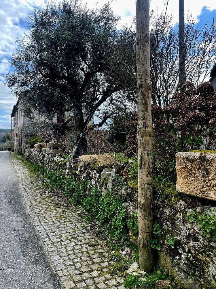 2 bedrooms House in Fornos de Algodres, Portugal No. 302951