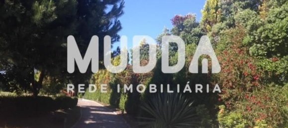 8 غرف نوم منزل في Oliveira de Azemeis, Portugal رقم 72023 15