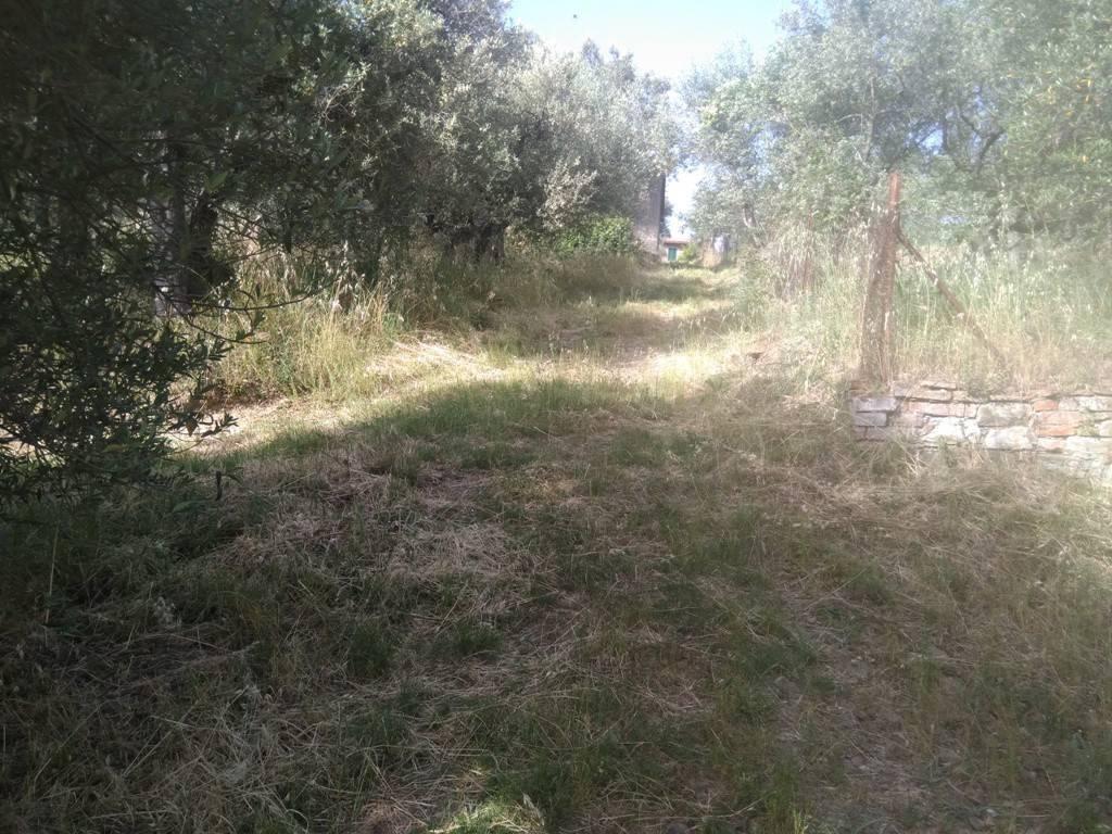 3000m² Land in Panicale, Italy No. 166847