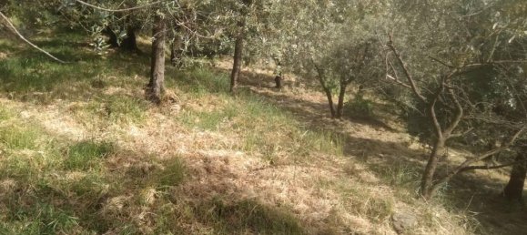 3000m² Land in Panicale, Italy No. 166847 3