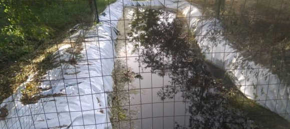 3000m² Land in Panicale, Italy No. 166847 4