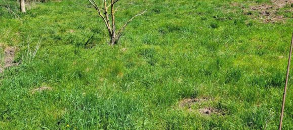 1872m² Land in Burmoos, Austria No. 234736 3