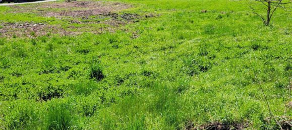 1872m² Land in Burmoos, Austria No. 234736 4