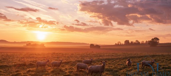 8 bedrooms House in Eure, France No. 293916 6