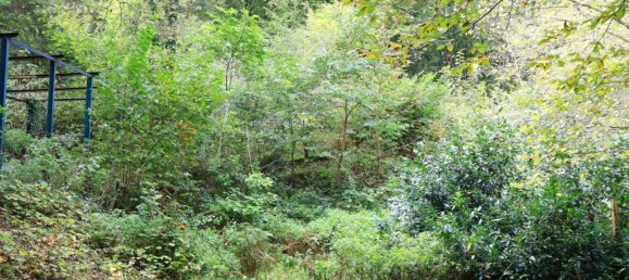 Terreno en Remscheid, Germany 1102 m² No. 58841 4