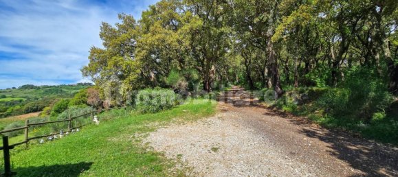 1 bedroom House in Roccastrada, Italy No. 376069 13