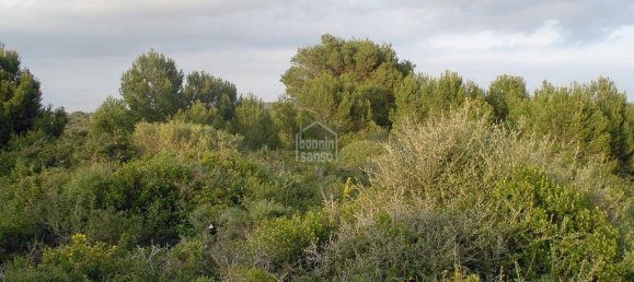  قطعة أرض في Sant Lluis, Spain رقم 1995 3