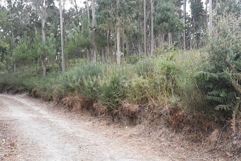  Land in Barcelos, Portugal No. 202248