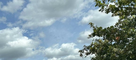 Terreno em Donnersbergkreis, Germany N.º 86361 3