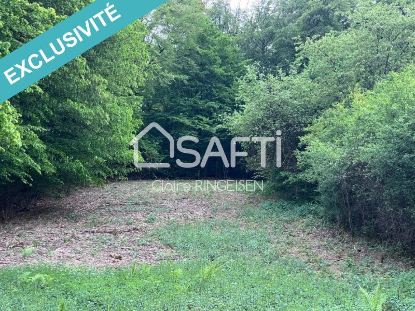 Grundstück in Remering-les-Puttelange, France, Nr. 231894