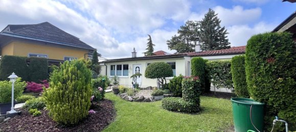 5 rooms Bungalow in Guntramsdorf, Austria No. 223613 12