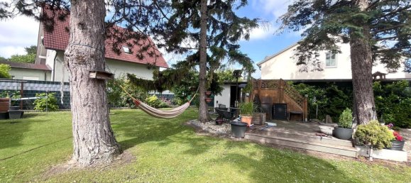 5 rooms Bungalow in Guntramsdorf, Austria No. 223613 15