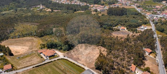 Земельный участок 5420м² в Авейру, Португалия № 72174 2