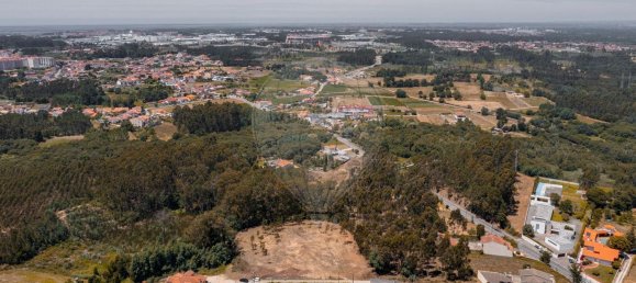 Земельный участок 5420м² в Авейру, Португалия № 72174 4