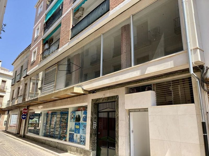 4 bedrooms Commercial property in Antequera, Spain No. 227087