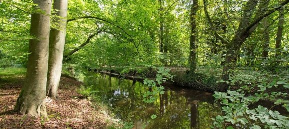 Дуплекс с 5 комнатами в Шлезвиг-Гольштейн, Германия № 38523 17