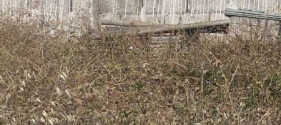 Terreno en San Cristóbal de La Laguna, Spain No. 150909 8