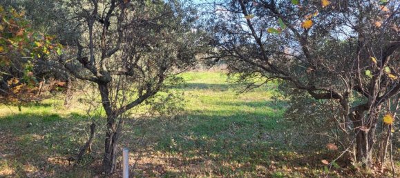 Grundstück in Rosciano, Italy 1240m², Nr. 123455 10