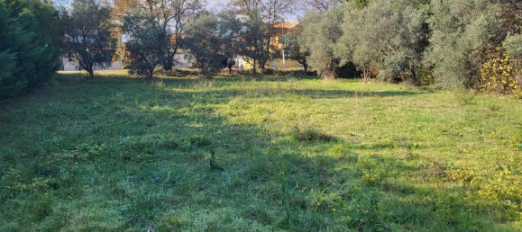 Grundstück in Rosciano, Italy 1240m², Nr. 123455 5