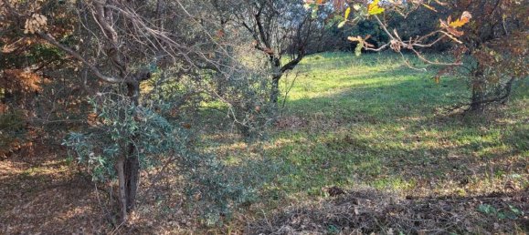 Grundstück in Rosciano, Italy 1240m², Nr. 123455 9