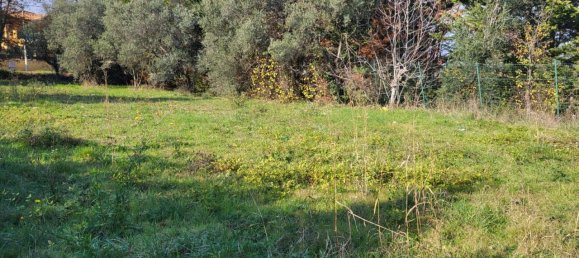 Grundstück in Rosciano, Italy 1240m², Nr. 123455 2