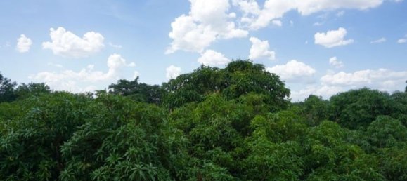 8 bedrooms Cafe / restaurant in Chiang Mai, Thailand No. 12790 25