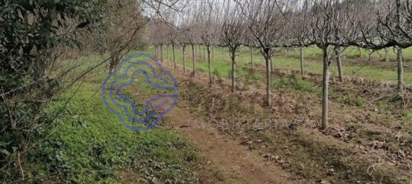  قطعة أرض في Alfena, Portugal 2900متر مربع رقم 37966 5