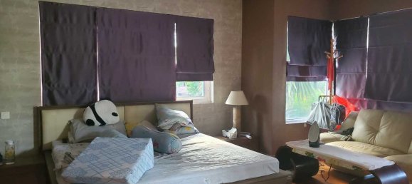 288m² Villa in District 7, Vietnam No. 19690 3