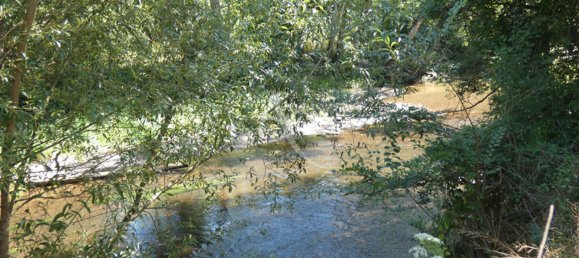 Casa de 3 dormitorios en Pruniers-en-Sologne, France No. 84908 5