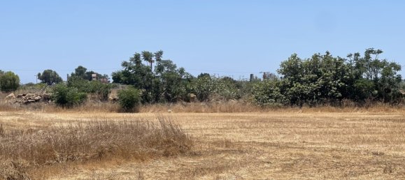 Terra em Liopetri, Cyprus 8945 m² N.º 181203 5