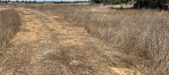 Terra em Liopetri, Cyprus 8945 m² N.º 181203 6