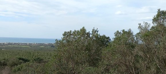 Villa de 6 habitaciónes en Avetrana, Italy No. 72342 14