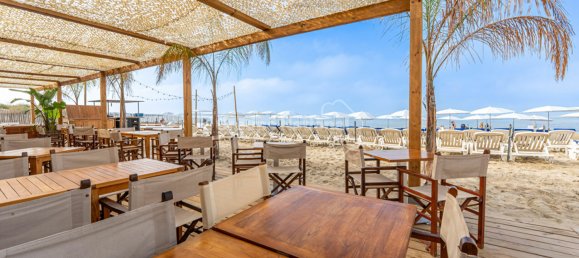 Gewerbliche Immobilie in Le Grau-du-Roi, France, Nr. 294398 3