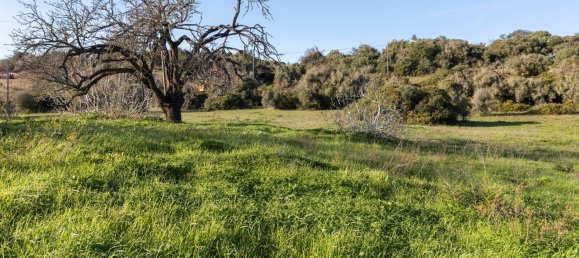  قطعة أرض في Lagos, Portugal رقم 146483 31