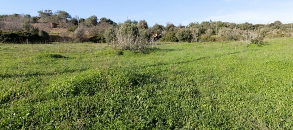  قطعة أرض في Lagos, Portugal رقم 146483 40