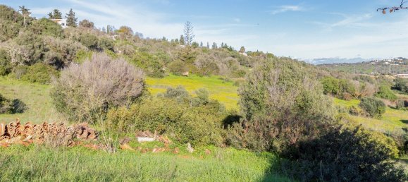  قطعة أرض في Lagos, Portugal رقم 146483 32