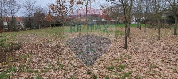  قطعة أرض في Vouzela, Portugal 2700متر مربع رقم 51650 4