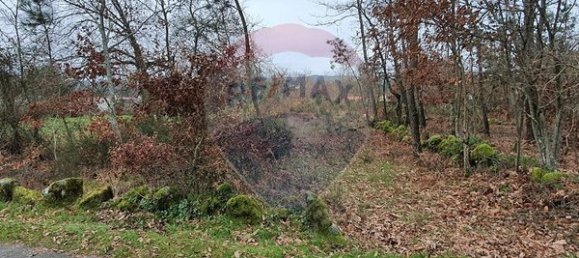  قطعة أرض في Vouzela, Portugal 2700متر مربع رقم 51650 6