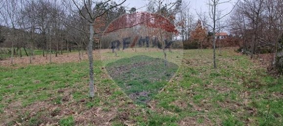  قطعة أرض في Vouzela, Portugal 2700متر مربع رقم 51650 3