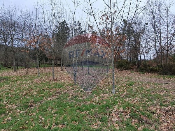  قطعة أرض في Vouzela, Portugal 2700متر مربع رقم 51650