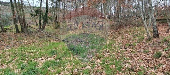  قطعة أرض في Vouzela, Portugal 2700متر مربع رقم 51650 2