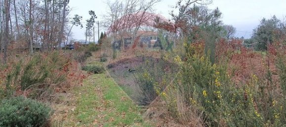  قطعة أرض في Vouzela, Portugal 2700متر مربع رقم 51650 5