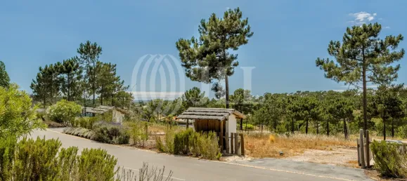 Terreno en Grandola, Portugal No. 91605 16