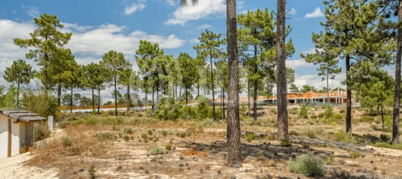 Terreno en Grandola, Portugal No. 91605 15
