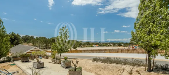 Terreno en Grandola, Portugal No. 91605 11