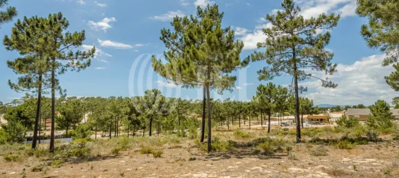 Terreno en Grandola, Portugal No. 91605 19