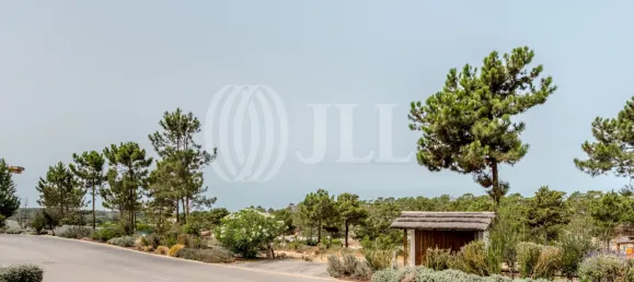 Terreno en Grandola, Portugal No. 91605 13